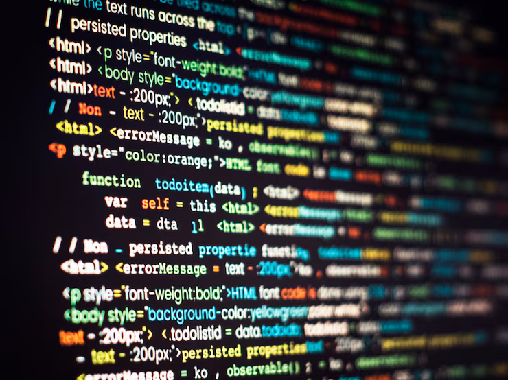 Web development